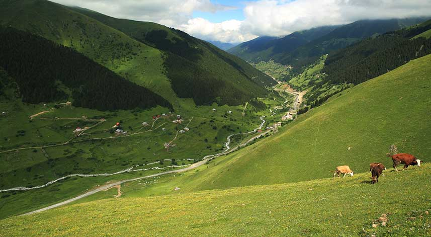 image CECOP9USBU